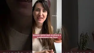 Coltiva il tuo dono #potenziale #coaching #obiettivi #visione