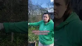 На даче дел по горло 