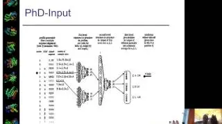 The PhD secondary structure prediction method