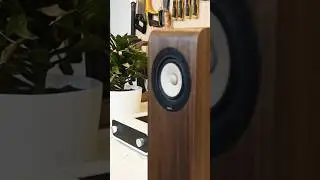 The LoVees Speakers! Markaudio CHP-70 / Tang Band W-5 / Dayton Audio Tweeter. #diyspeaker