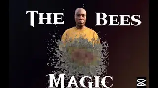 How to edit bees and human video, capcut magic tutoriallv 0 20251019221437
