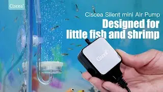 Clscea Small Air Pump for Fish Tank Aquarium Aerator for 1-15 G Super Quiet 1.5 Watts, Complete kit