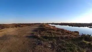 Marismas de Sancti Petri