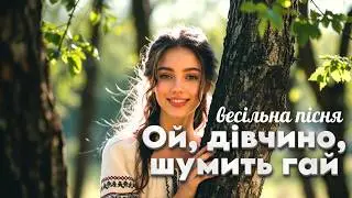 ОЙ, дівчино, шумить гай - Українська Пісня В Сучасній Обробці | Весільна музика