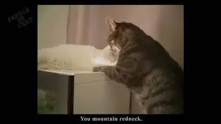 L''EMMERDEUR - PAROLE DE CHAT
