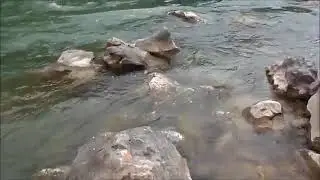DİNLEDİĞİM EN GÜZEL VE EN YANIK TÜRKÜ NEYİNE GÜVENEM YALAN DÜNYANIN