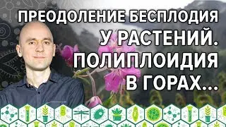 16. Преодоление бесплодия у растений. Полиплоидия в горах...
