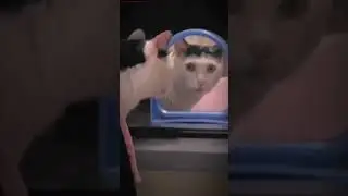 gw yang barusan pulang dari barber shop langsung ngaca di rumah 🤣🤣#shortvideo