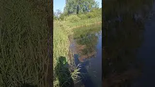уж плывëт