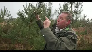 Wandeling met boswachter Nico