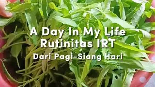 Rutinitas IRT dari Pagi-Siang Hari