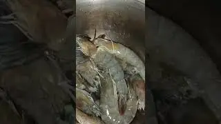 GARLIC BUTTER SHRIMP