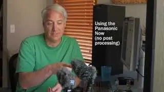 Rode VideoMic Pro vs Panasonic DMW MS2