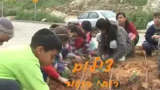 planting in 