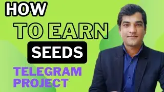 Seed project telegram mining app