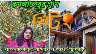 Sittong Tour Guide/Sittong/সিটং/Sittong Tourist Places/Sittong Orange Garden/Sittong Homestay...