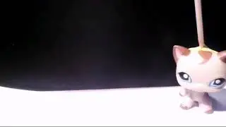 MV cool girl