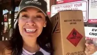 Buying baby chicks at Callahan's general store in Austin Texas