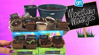 AH moestuintjes plantjes verzorgen #1