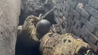 Воины занимают позиции крыс 🐀🐀🐀