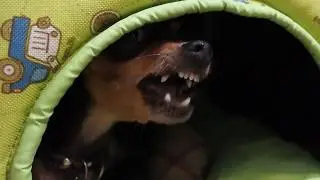 IT lives with us !!!