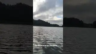 Рыбалка на Рассвете #рыбалканаудочку #рыбалка #fishing #поплавочнаяудочка #озеро #postavy
