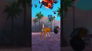 Doge Simulator: Doge destroys cars