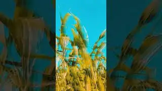 FARMING INTRO || RK FILM'S ||
