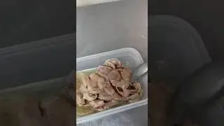 Печень трески оптом, прямые поставки от коробки с Мурманска