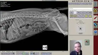 ClaroX DR System Software: Calibrations and Measurements - video 4