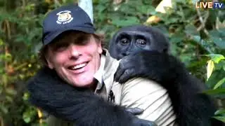 Damian Aspinall’s Reunion with His Gorilla After 5 Years!