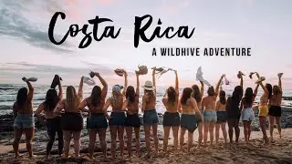 Costa Hive: A Wildhive Adventure