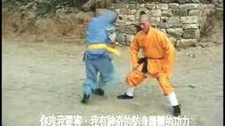 Shaolin Monk  Demir testis teknikleri