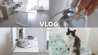 REMODELANDO EL ESCRITORIO