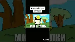 Шпорк запоров 