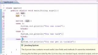 Java Programming Tutorial   12   Switch Statement