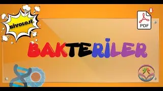 BAKTERİLER (tyt-2023)