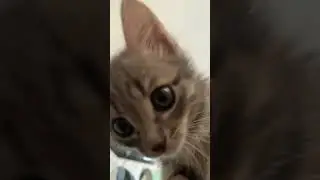 Люська желает тебе хорошего дня 