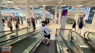 СОЛЕВОЙ КОРЕШ В АВИАПАРКЕ
