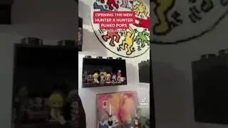 Opening The New Hunter x Hunter Funko Pops! 