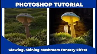 How to Create  Glowing, Shining Mushroom Fantasy Effect in Photoshop Tutorial