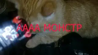 Мой кот монстр