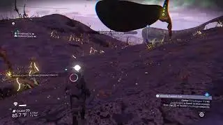 No Man's Sky Livestream