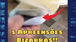 5 Apreensões bizarras nos presídios