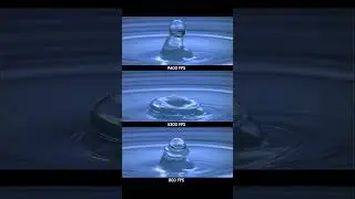 Worlds most satisfying water drop FPS comparison