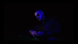 Django - Fauve