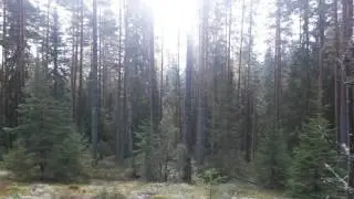 МБ осень 2016
