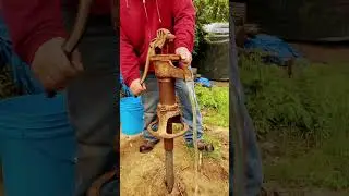 Vintage Meyer pitcher pump in action￼