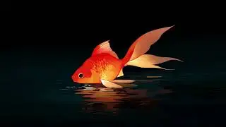 暗闇の金魚