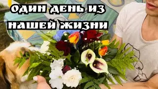 ЭКСКЛЮЗИВ.  ОДИН ДЕНЬ ИЗ СЧАСТЛИВОЙ  ДЕРЕВЕНСКОЙ ЖИЗНИ БЕЛОРУСОВ. КРОЛИКИ АНТОХИ ОРГАНИЗОВАЛИ ПОБЕГ